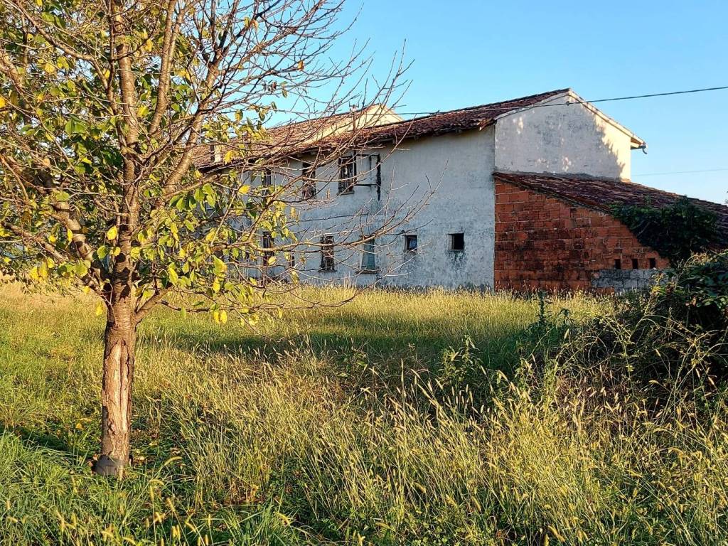 immagine annuncio 2 di 3