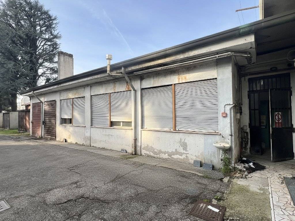 immagine annuncio 2 di 5