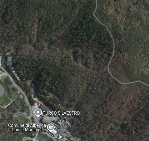 immagine annuncio 3 di 5