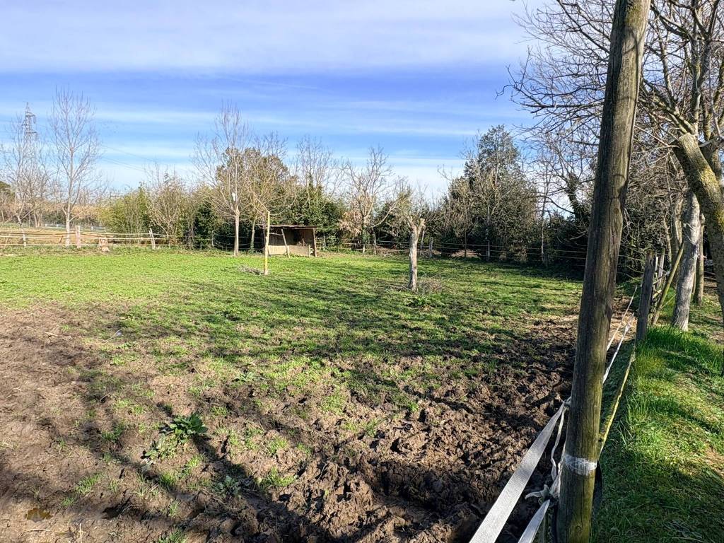 immagine annuncio 2 di 4