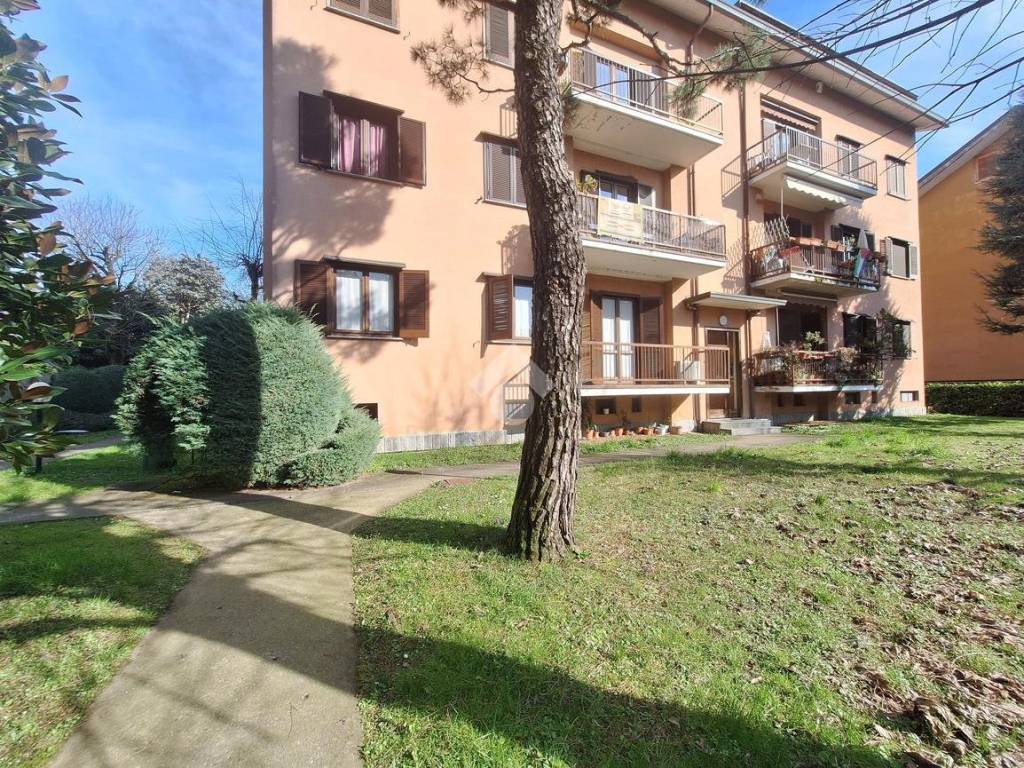 immagine annuncio 1 di 5