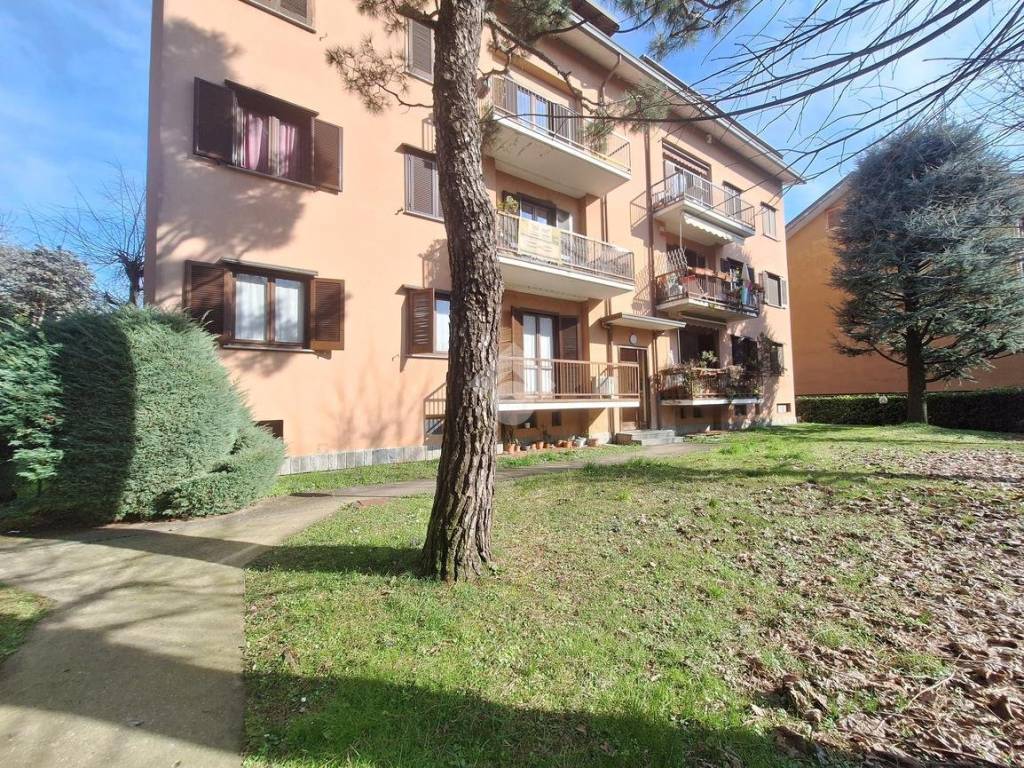 immagine annuncio 2 di 5