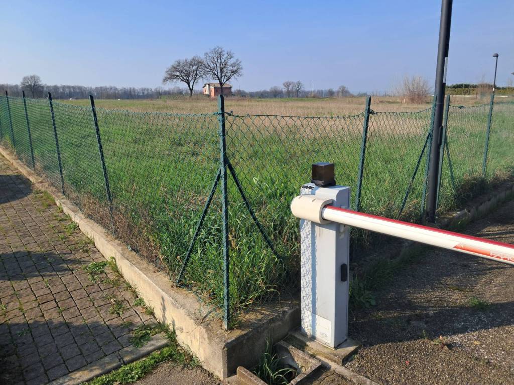 immagine annuncio 2 di 4