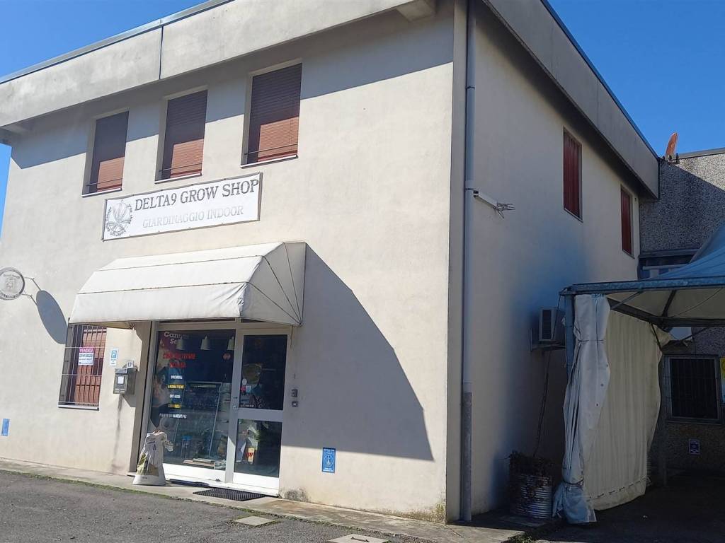 immagine annuncio 1 di 3