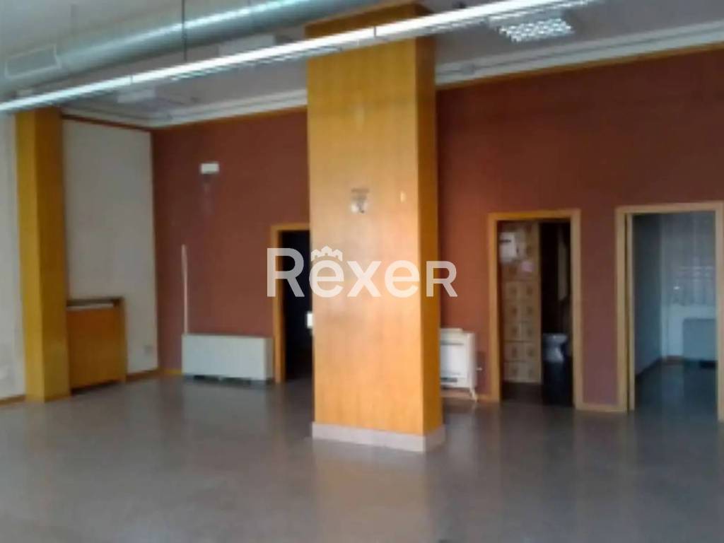 immagine annuncio 2 di 4