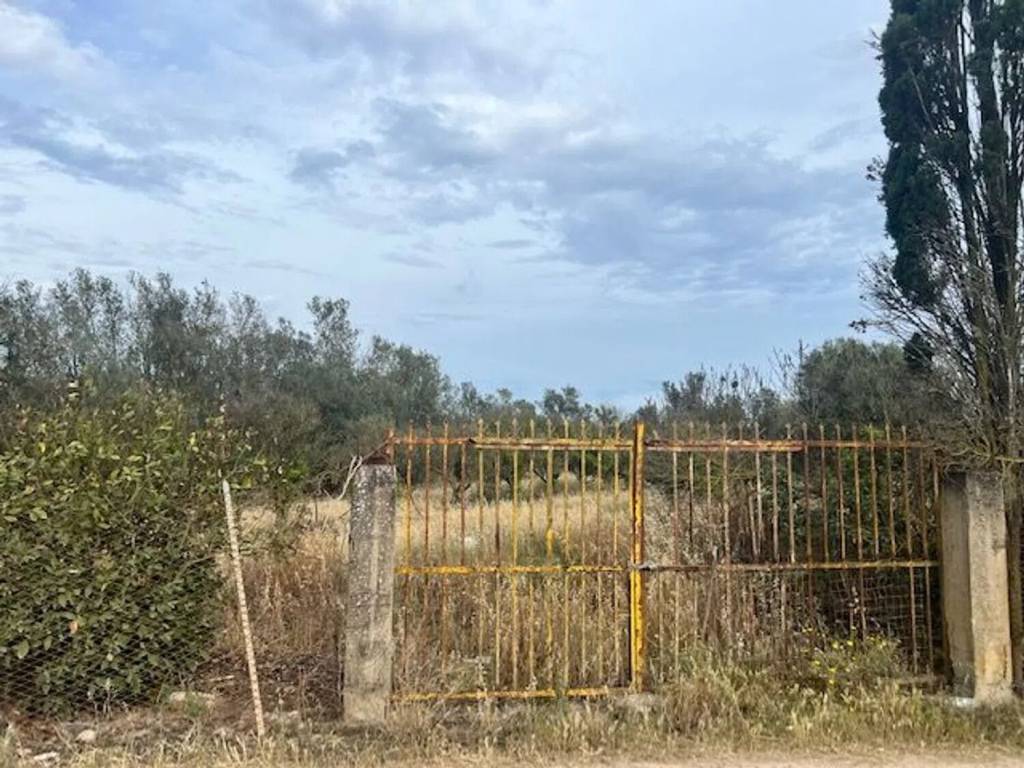 immagine annuncio 1 di 4