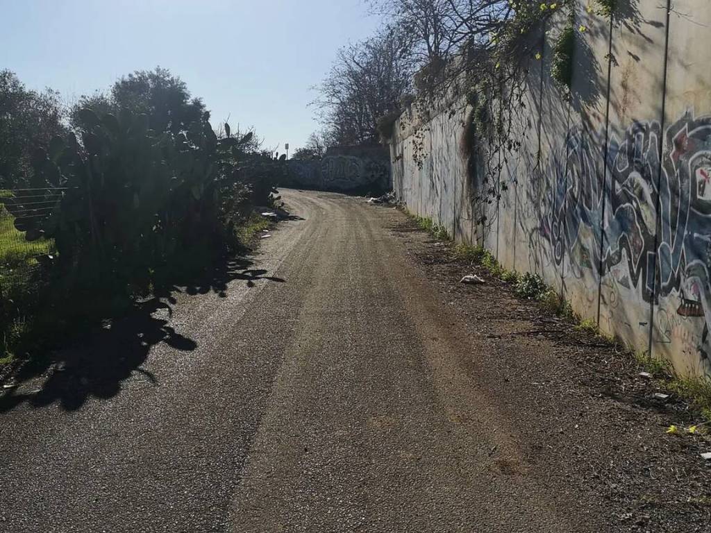 immagine annuncio 3 di 4