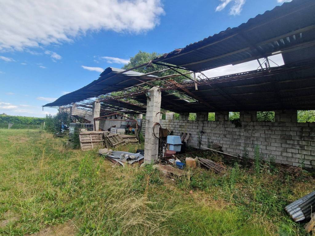 immagine annuncio 4 di 5