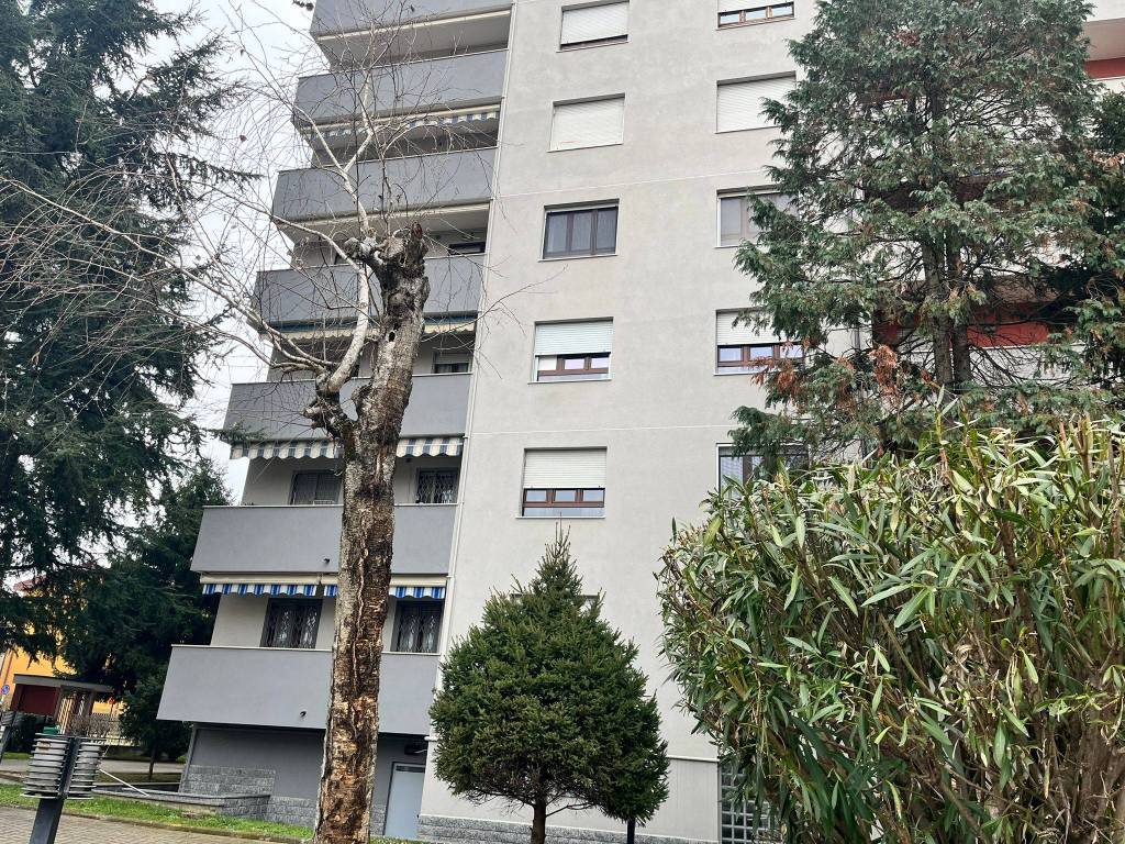 immagine annuncio 1 di 5