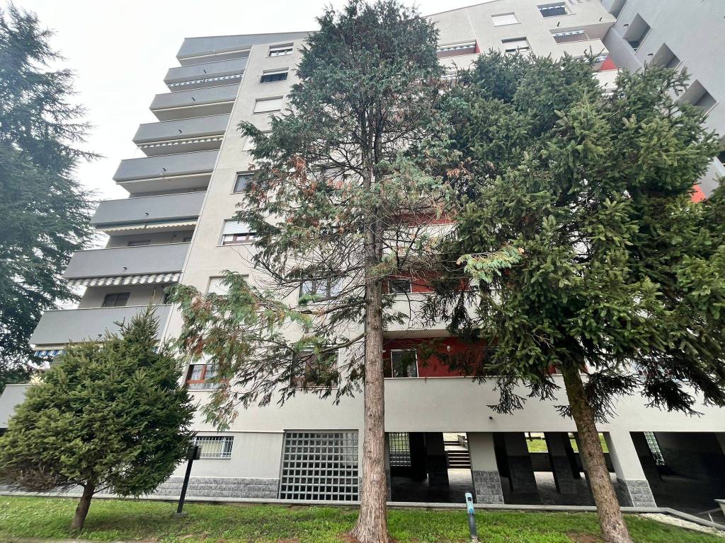 immagine annuncio 4 di 5