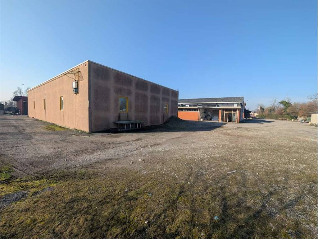 immagine annuncio 2 di 5