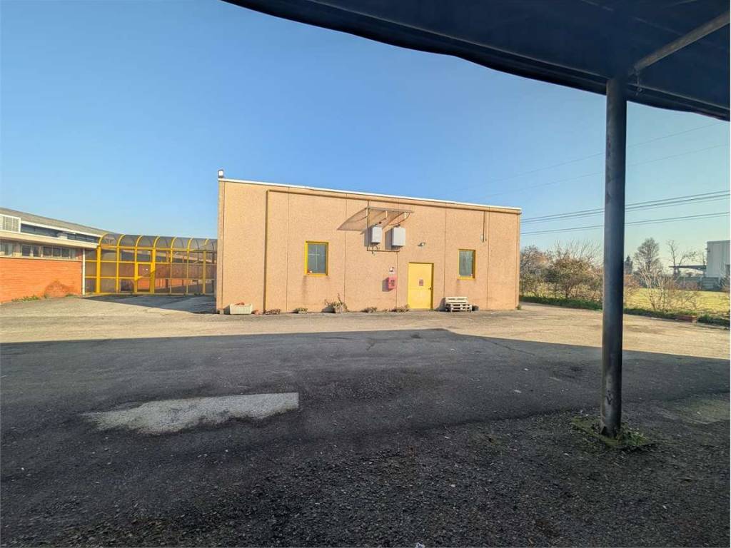 immagine annuncio 3 di 5