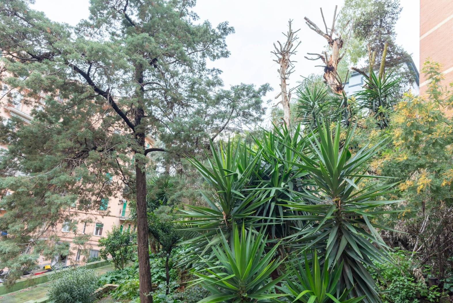 Trilocale via Privata Comola Ricci 3, Mergellina - Piedigrotta, Napoli - Photo 15