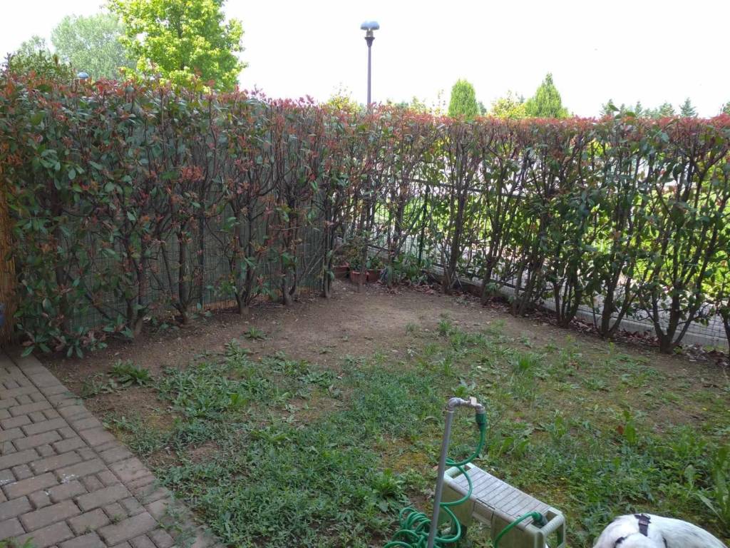 immagine annuncio 2 di 4