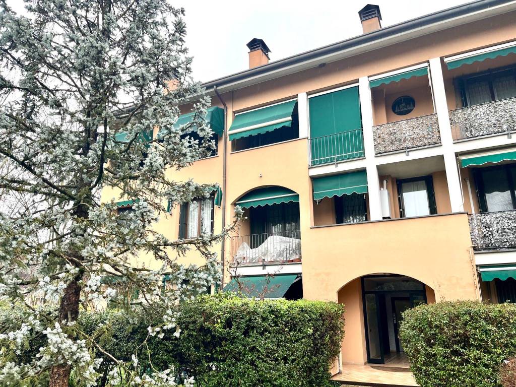 immagine annuncio 2 di 4