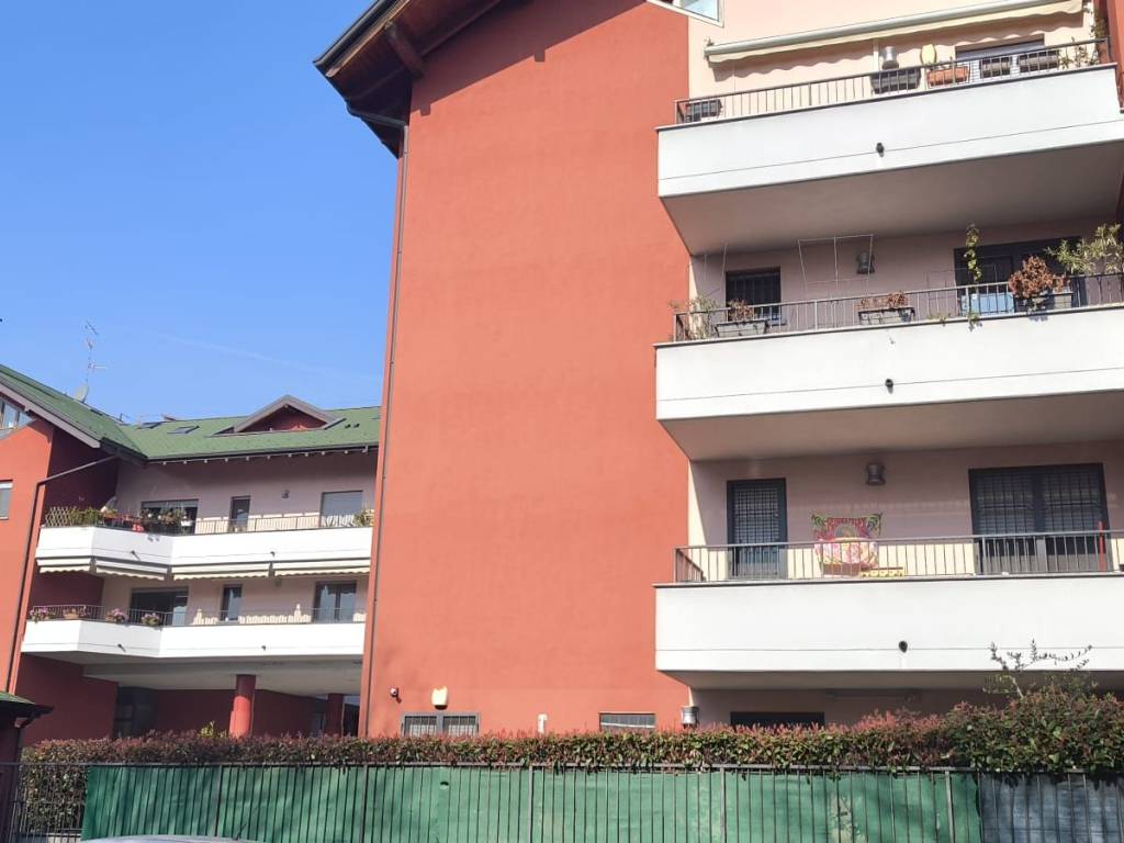 immagine annuncio 2 di 5