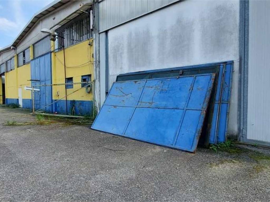 immagine annuncio 1 di 5