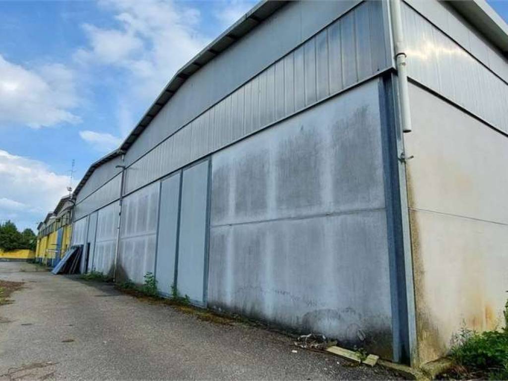 immagine annuncio 2 di 5