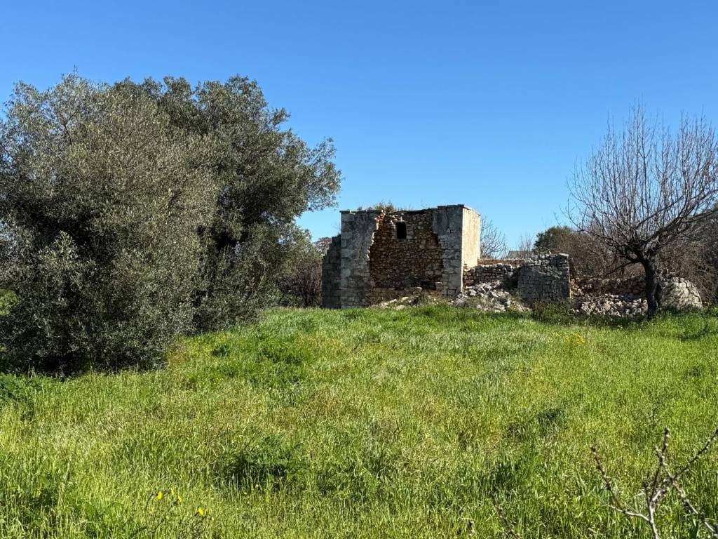 immagine annuncio 1 di 4