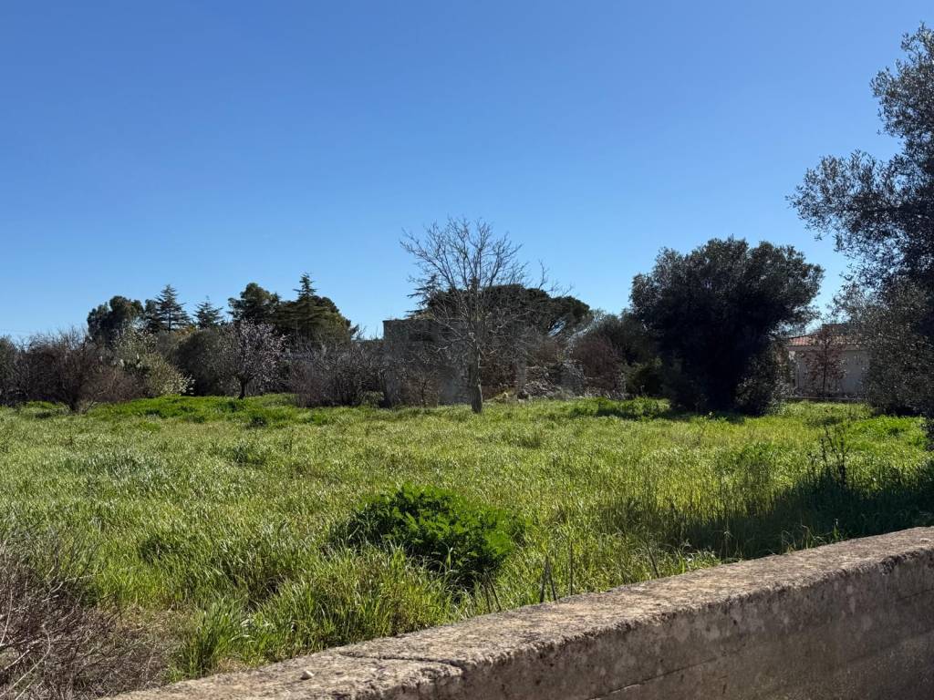 immagine annuncio 3 di 4