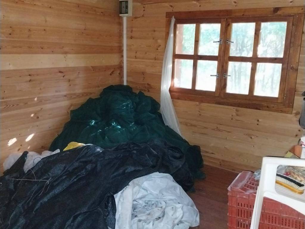 immagine annuncio 3 di 4