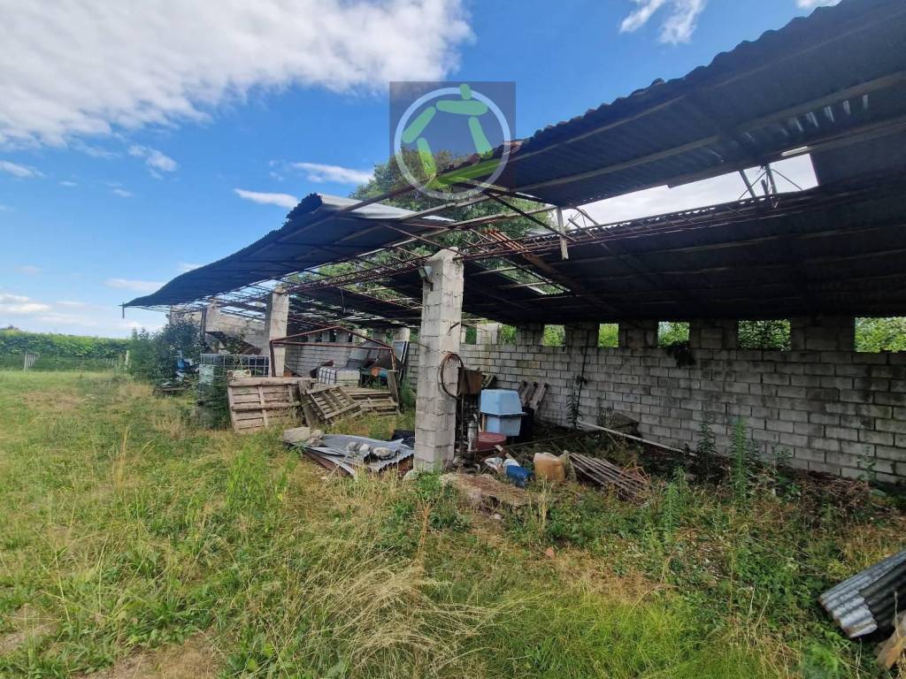 immagine annuncio 4 di 5