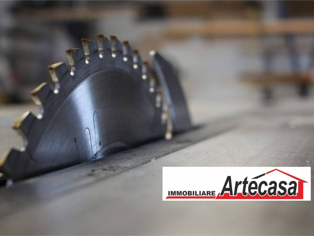 immagine annuncio 1 di 4