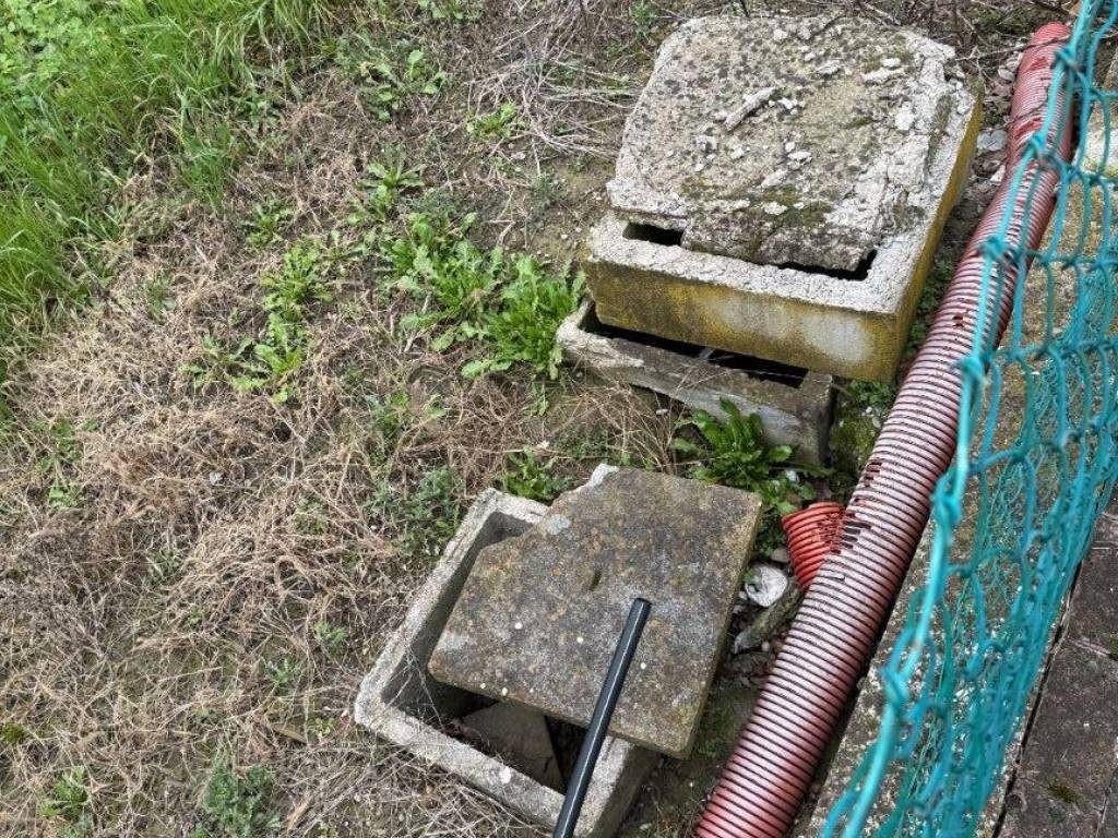 immagine annuncio 2 di 4