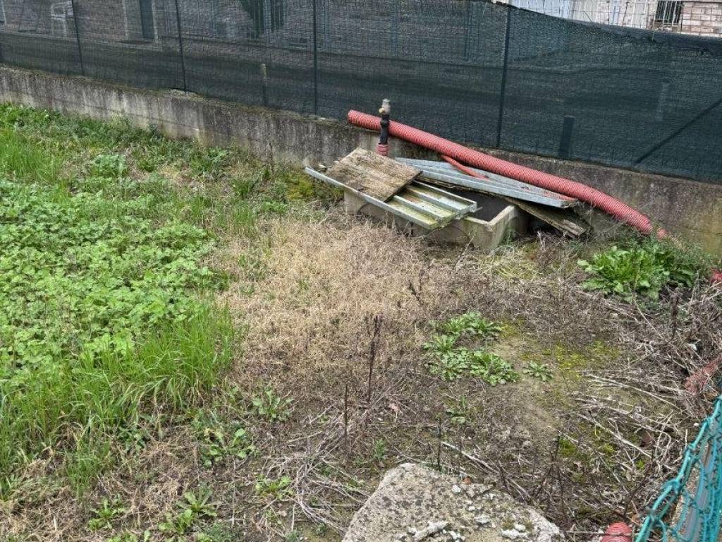 immagine annuncio 3 di 4