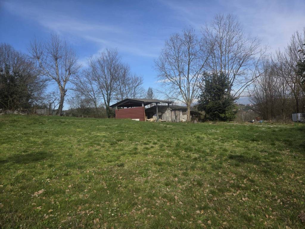 immagine annuncio 1 di 2