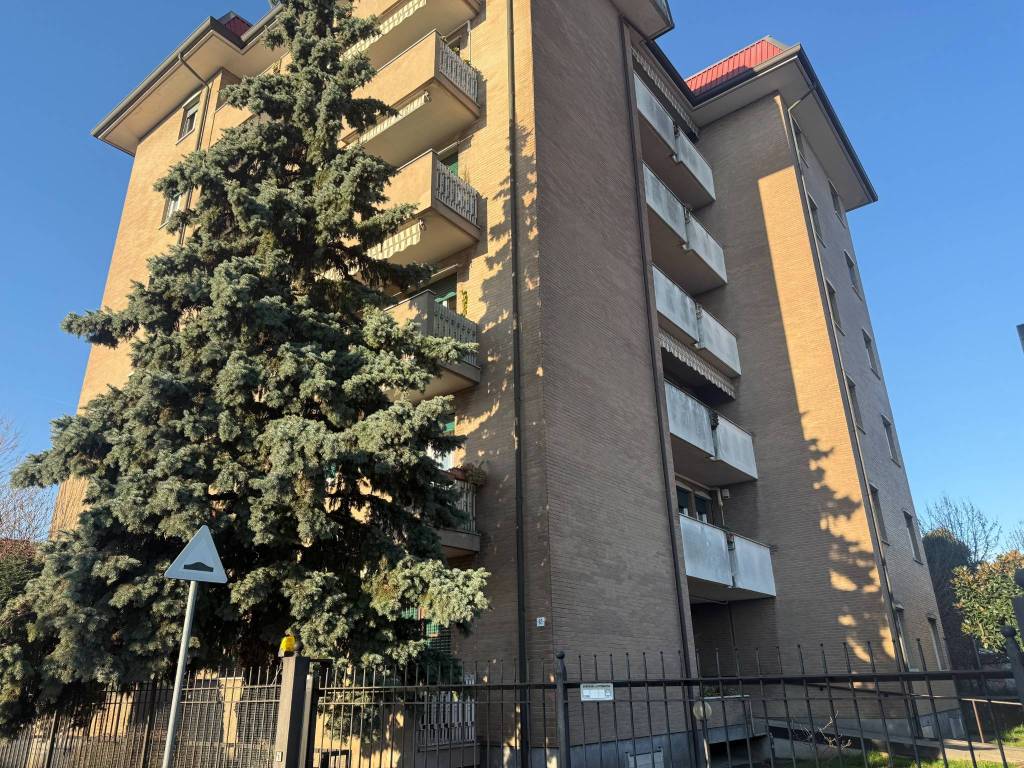 immagine annuncio 2 di 5