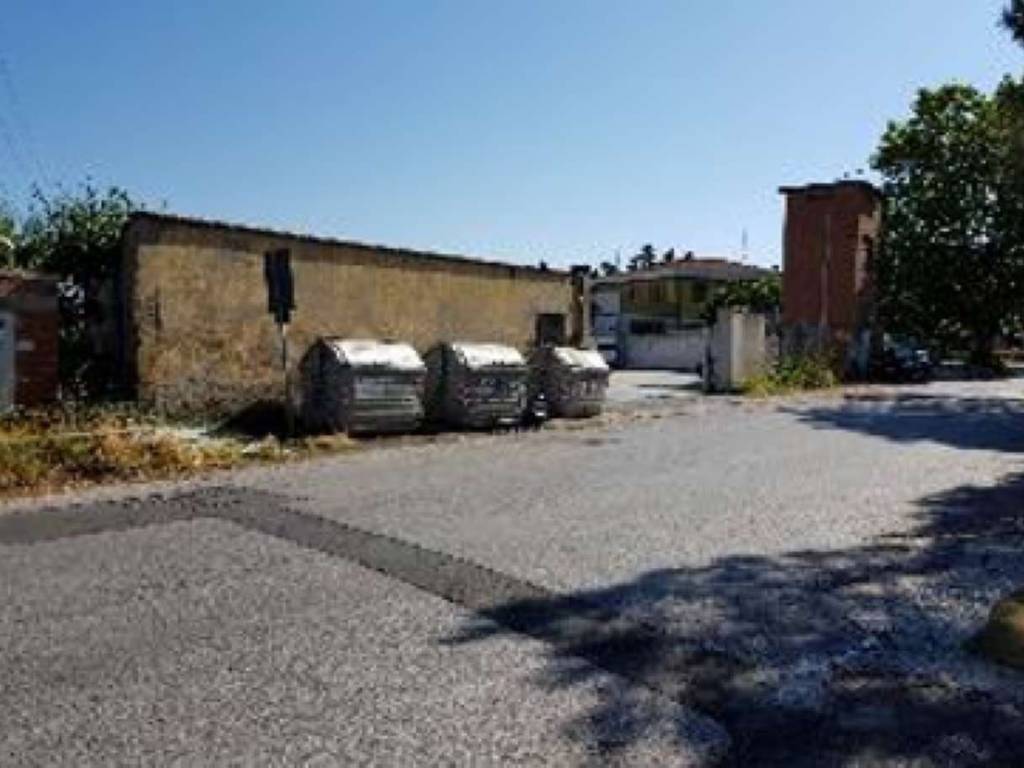 immagine annuncio 2 di 4