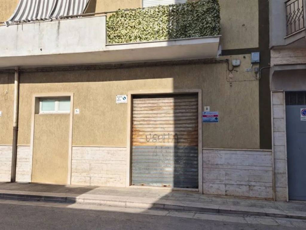 immagine annuncio 2 di 3