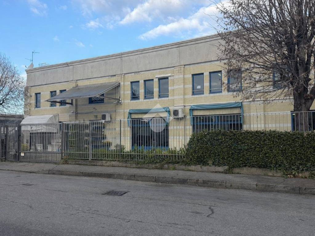 immagine annuncio 3 di 5