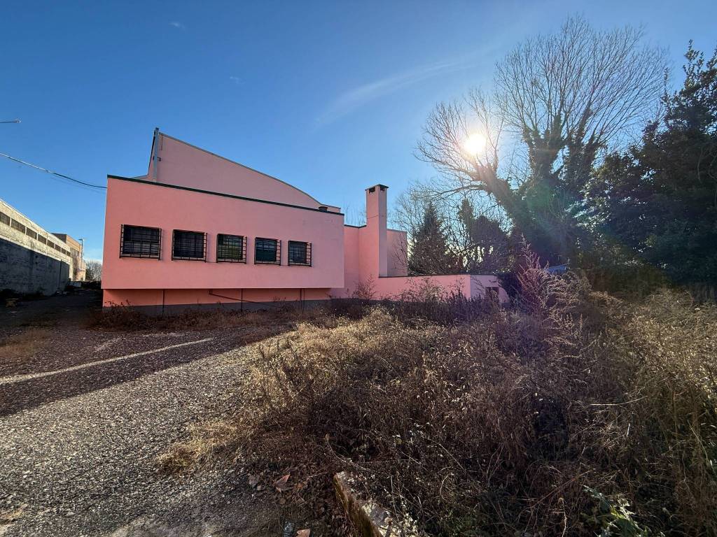 immagine annuncio 1 di 5