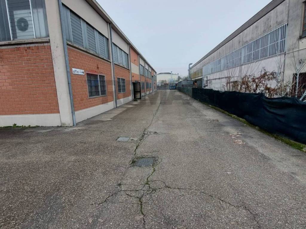 immagine annuncio 4 di 5