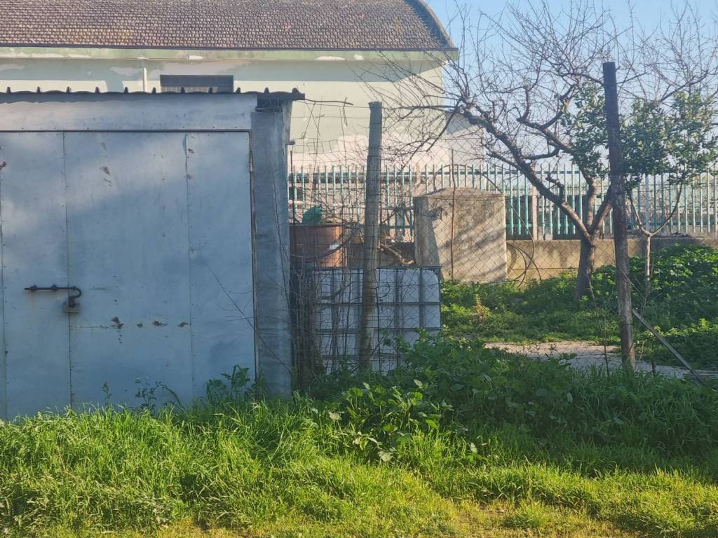 immagine annuncio 1 di 4