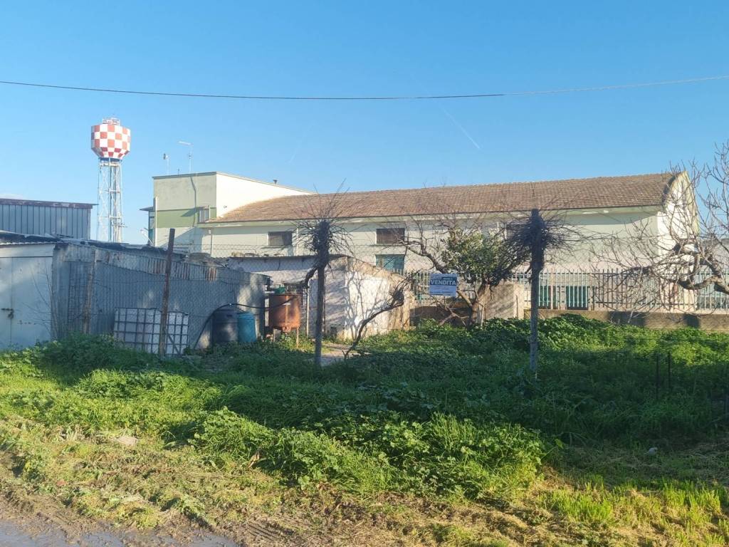 immagine annuncio 3 di 4