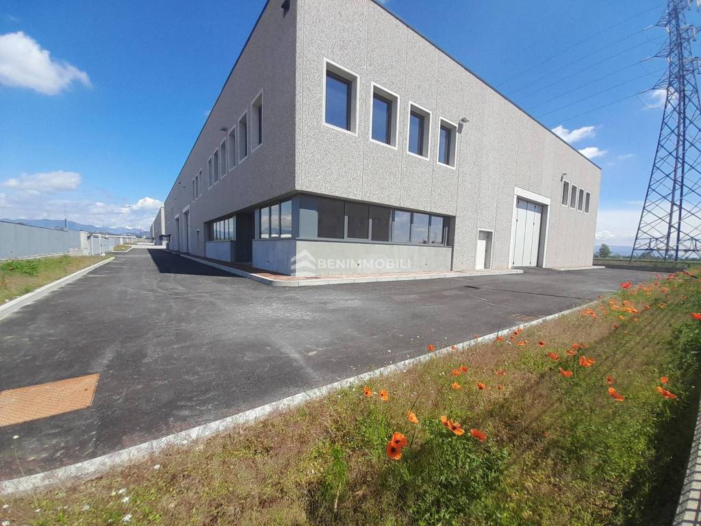 immagine annuncio 1 di 5