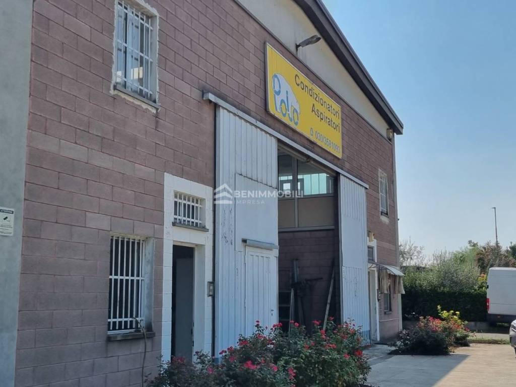 immagine annuncio 4 di 5