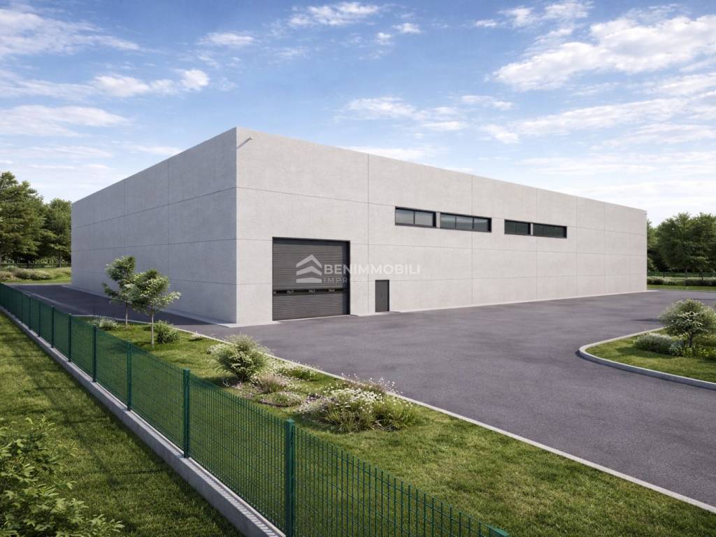 immagine annuncio 2 di 5