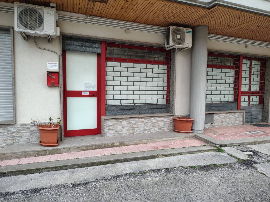 immagine annuncio 1 di 4