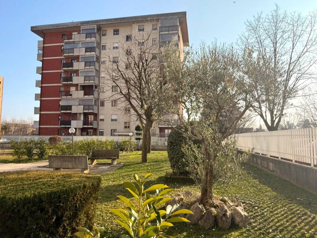 immagine annuncio 2 di 5