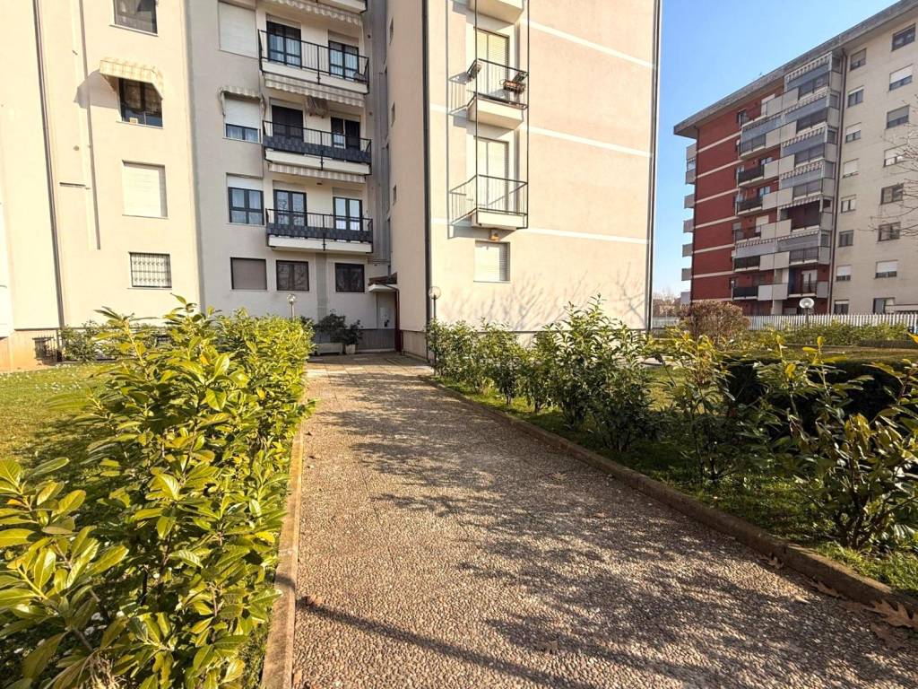 immagine annuncio 3 di 5