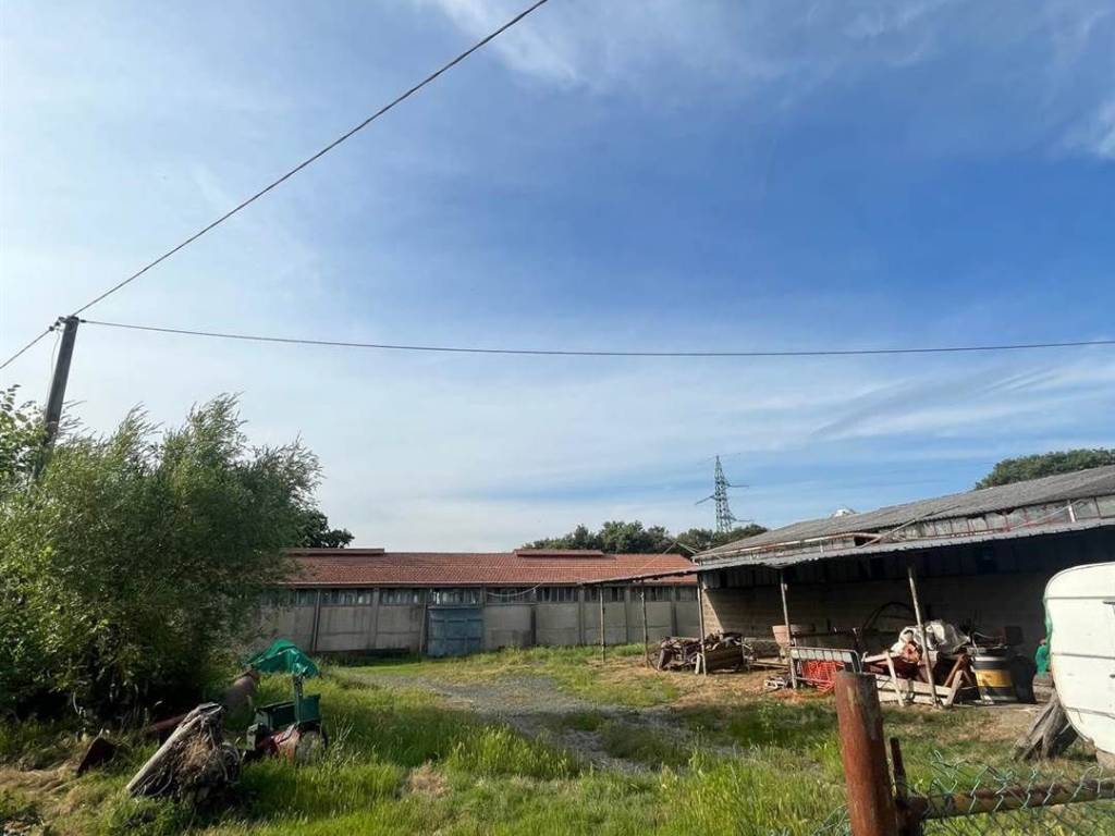 immagine annuncio 4 di 5