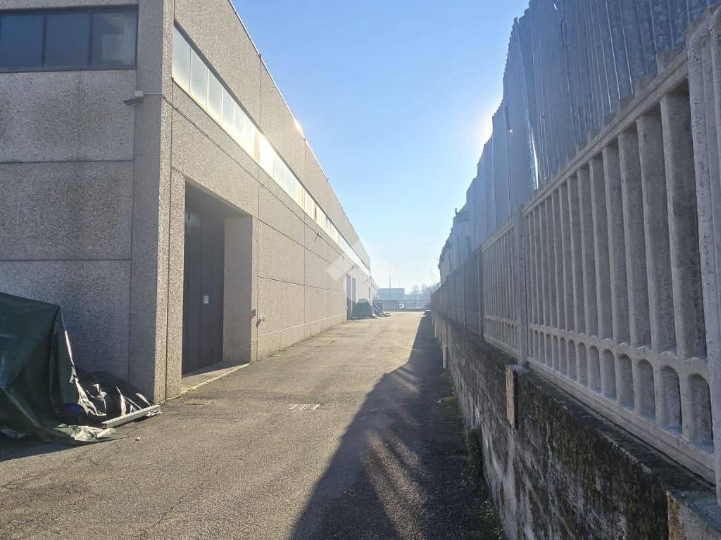 immagine annuncio 3 di 5