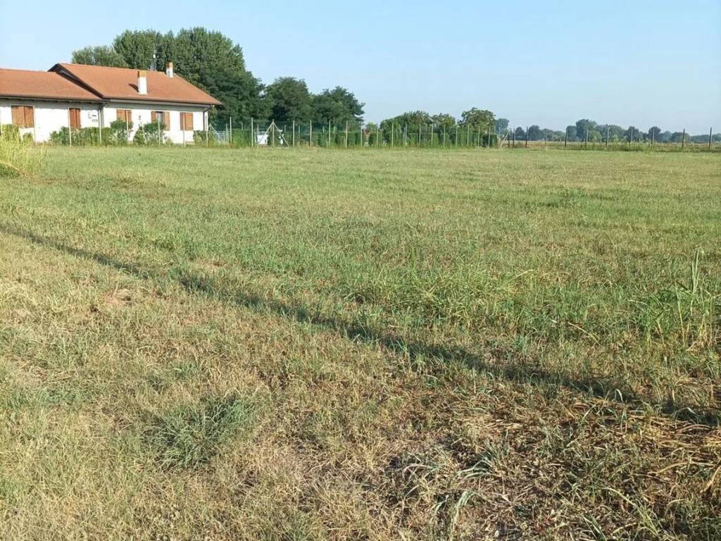 immagine annuncio 1 di 3