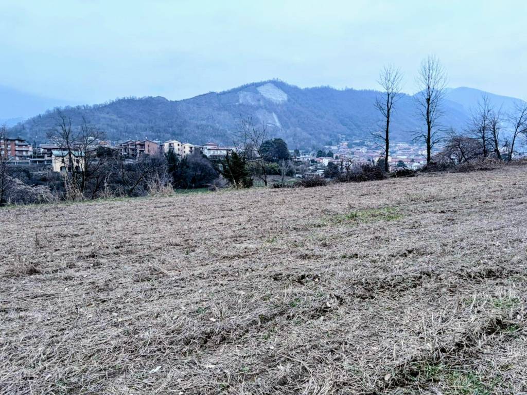 immagine annuncio 1 di 3