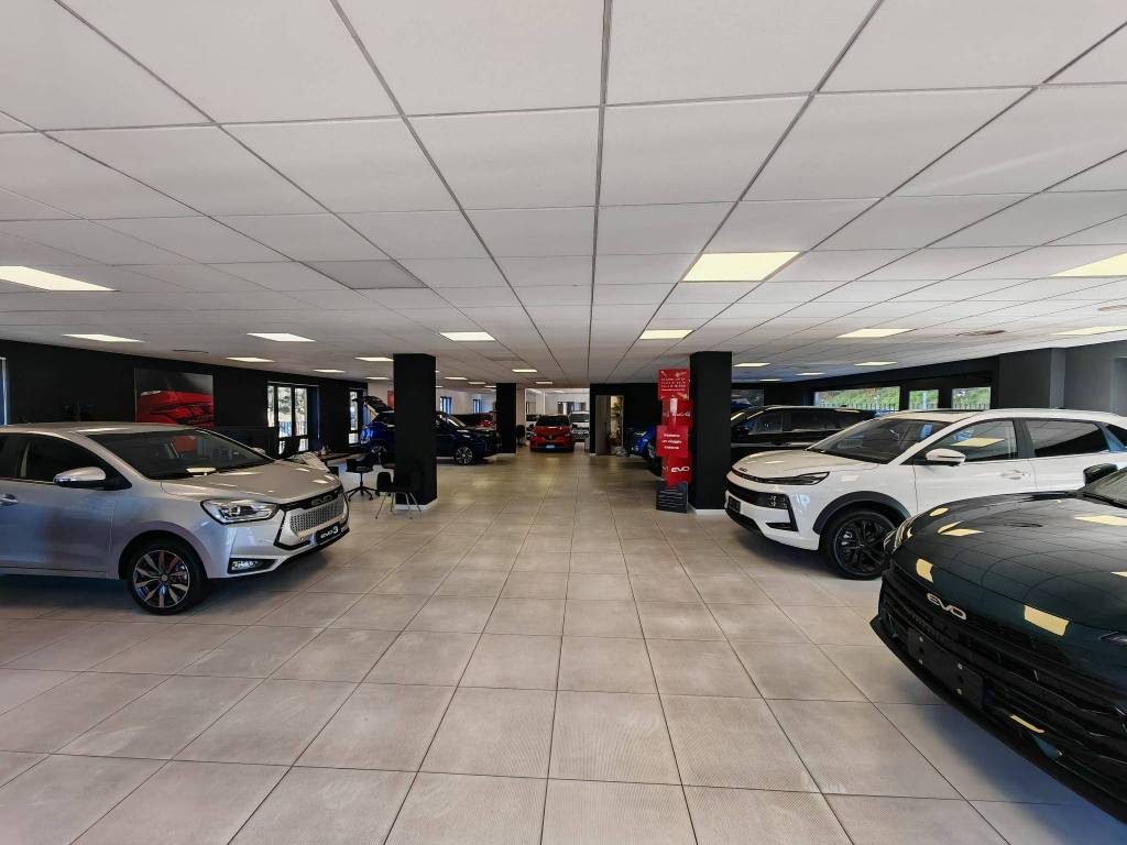 immagine annuncio 1 di 5