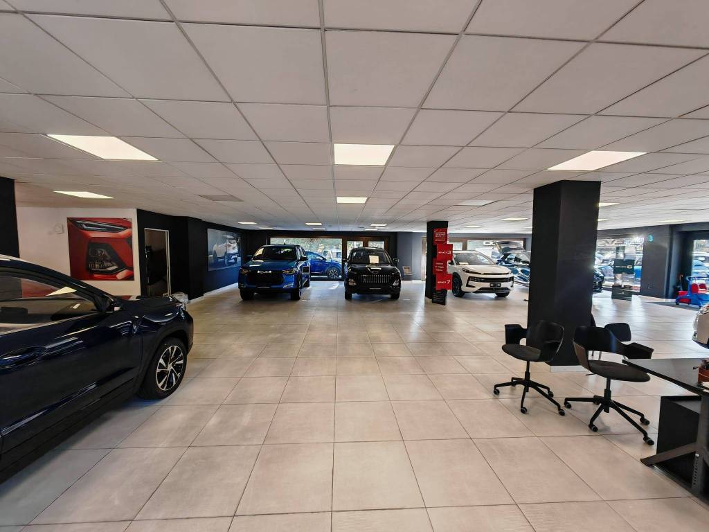 immagine annuncio 2 di 5